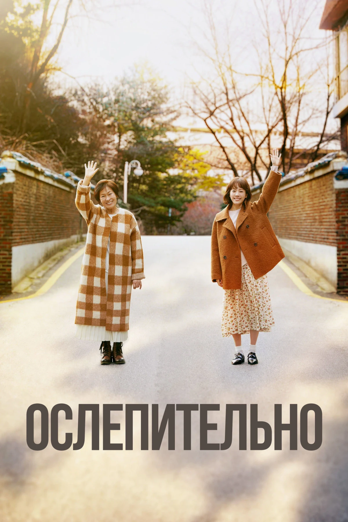 Постер сериалаОслепительно