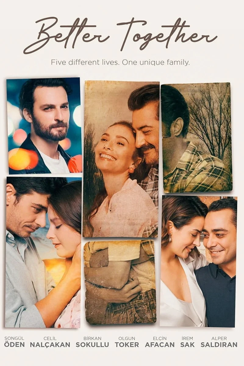 Постер сериалаИстория одной семьи