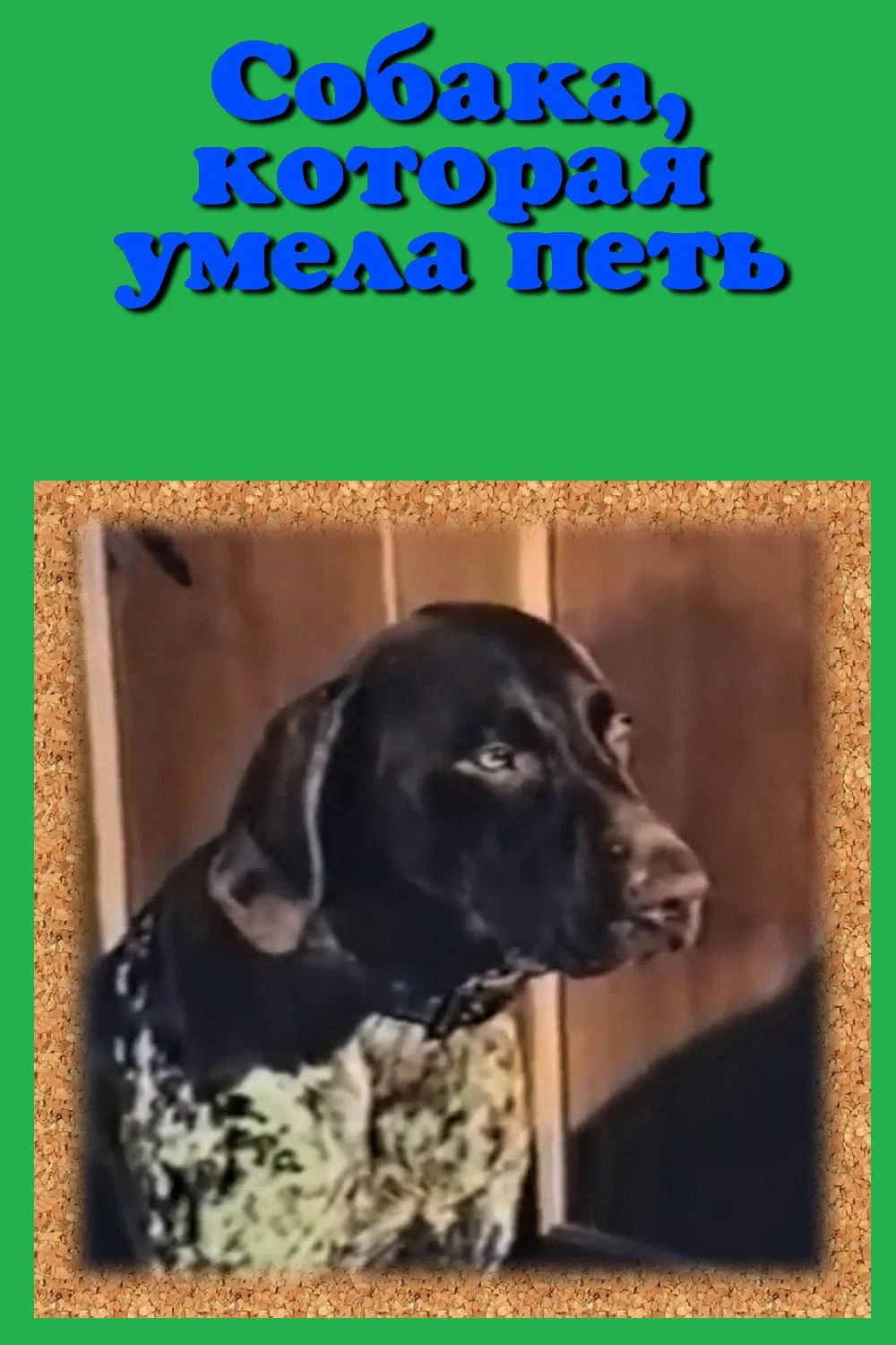 Постер сериалаСобака, которая умела петь