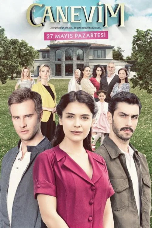 Постер сериалаСокровенное