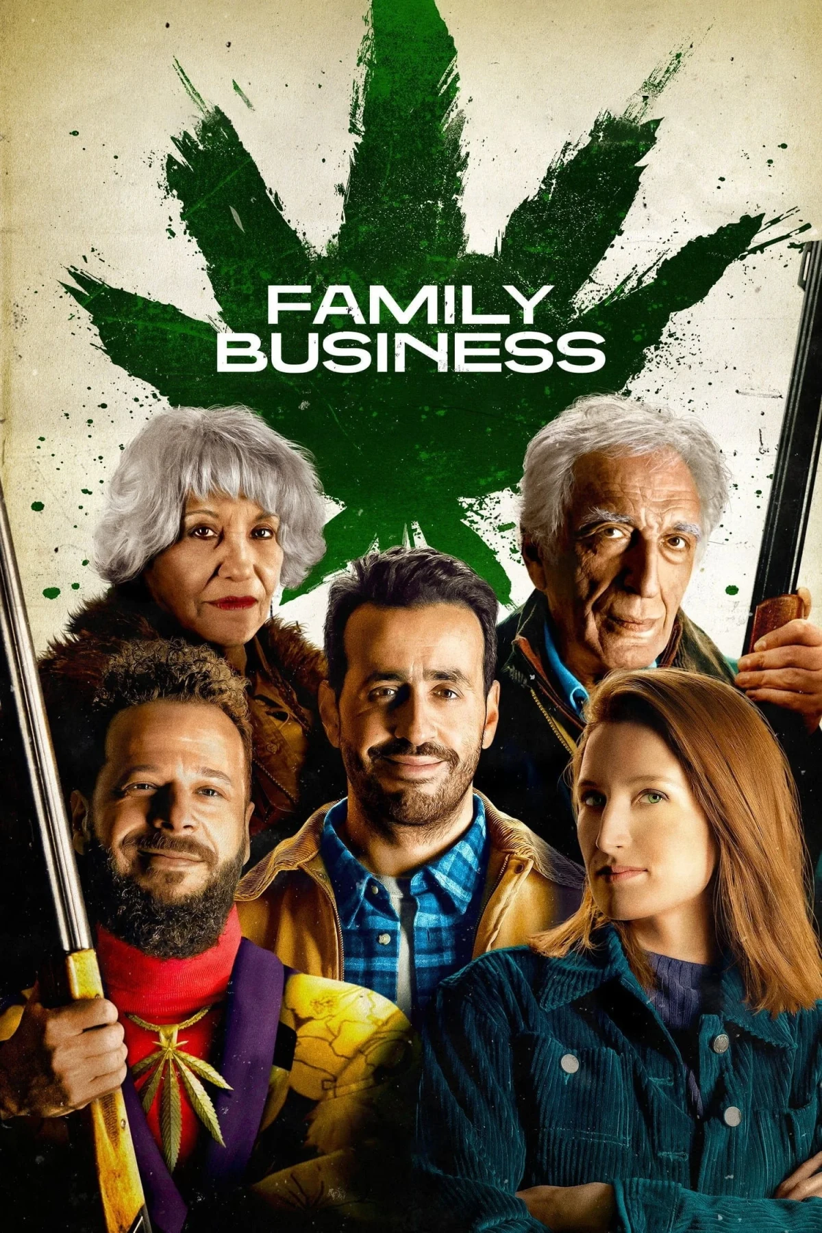 Постер сериалаДело семейное