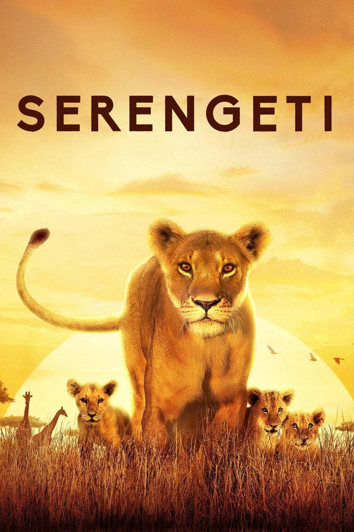 Постер сериалаСеренгети