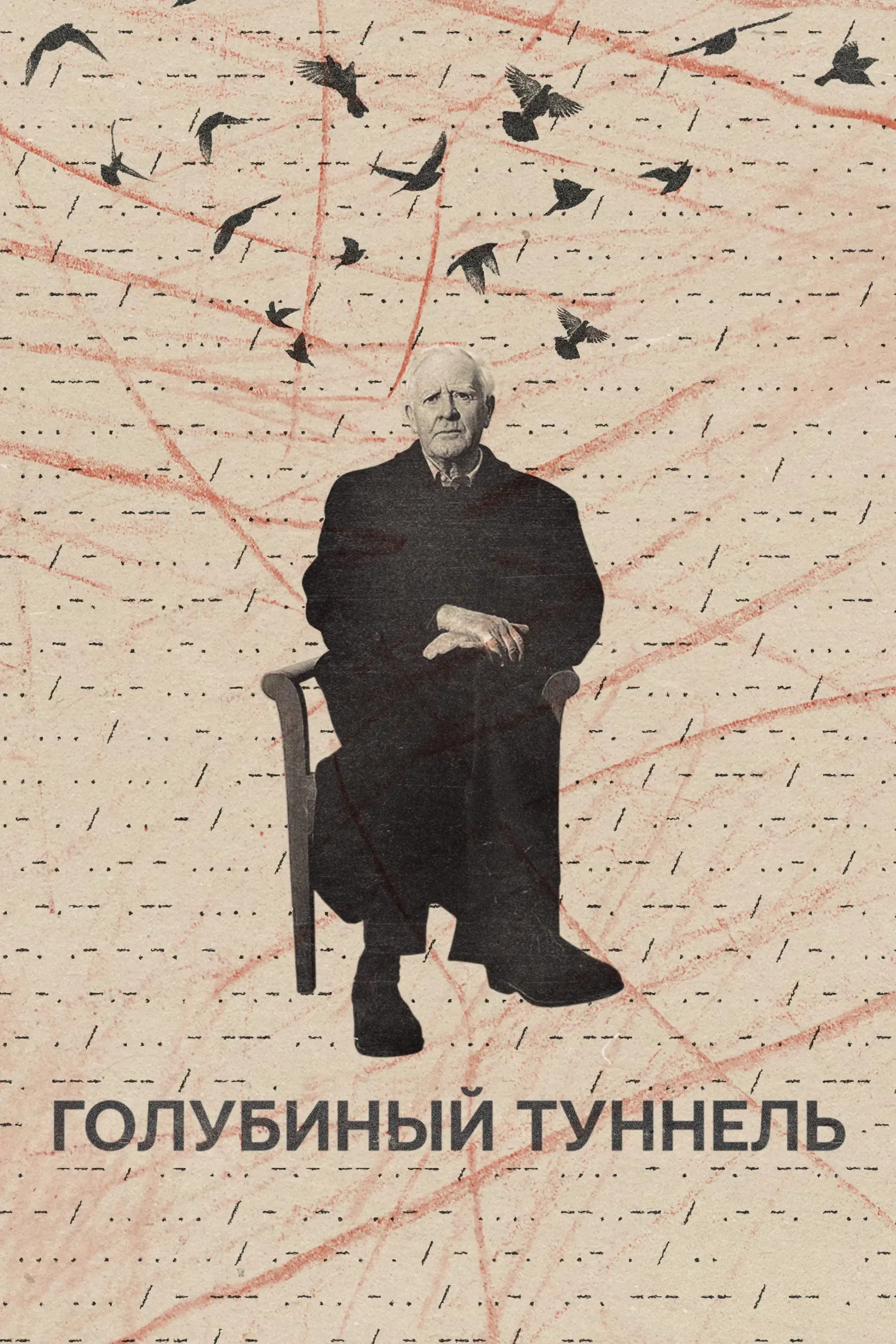Постер фильма Голубиный туннель