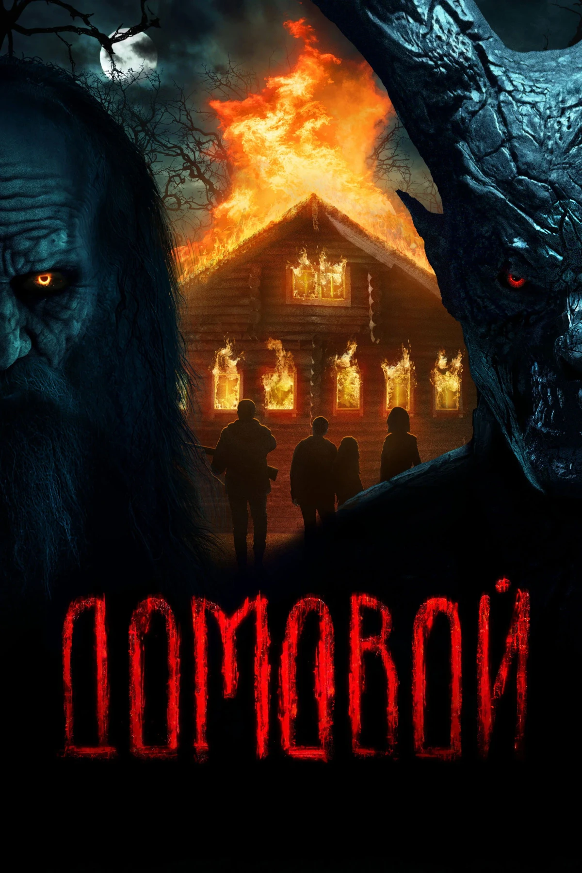 Постер фильма Домовой