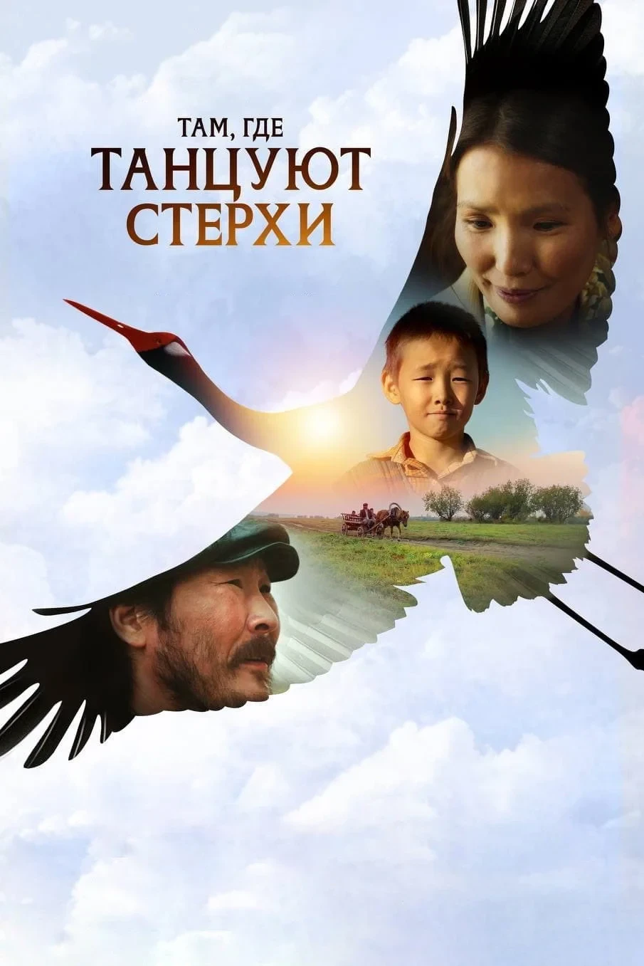 Постер фильма Там, где танцуют стерхи