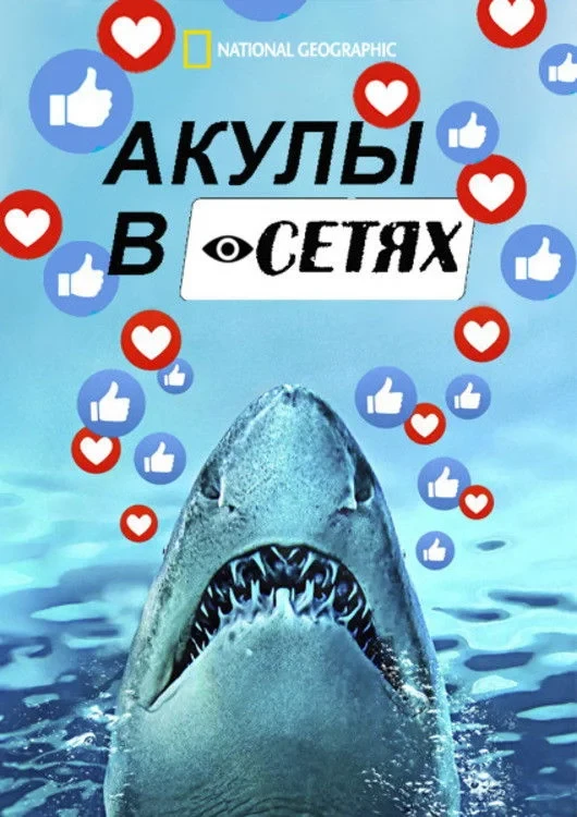 Постер фильма Акулы в сетях