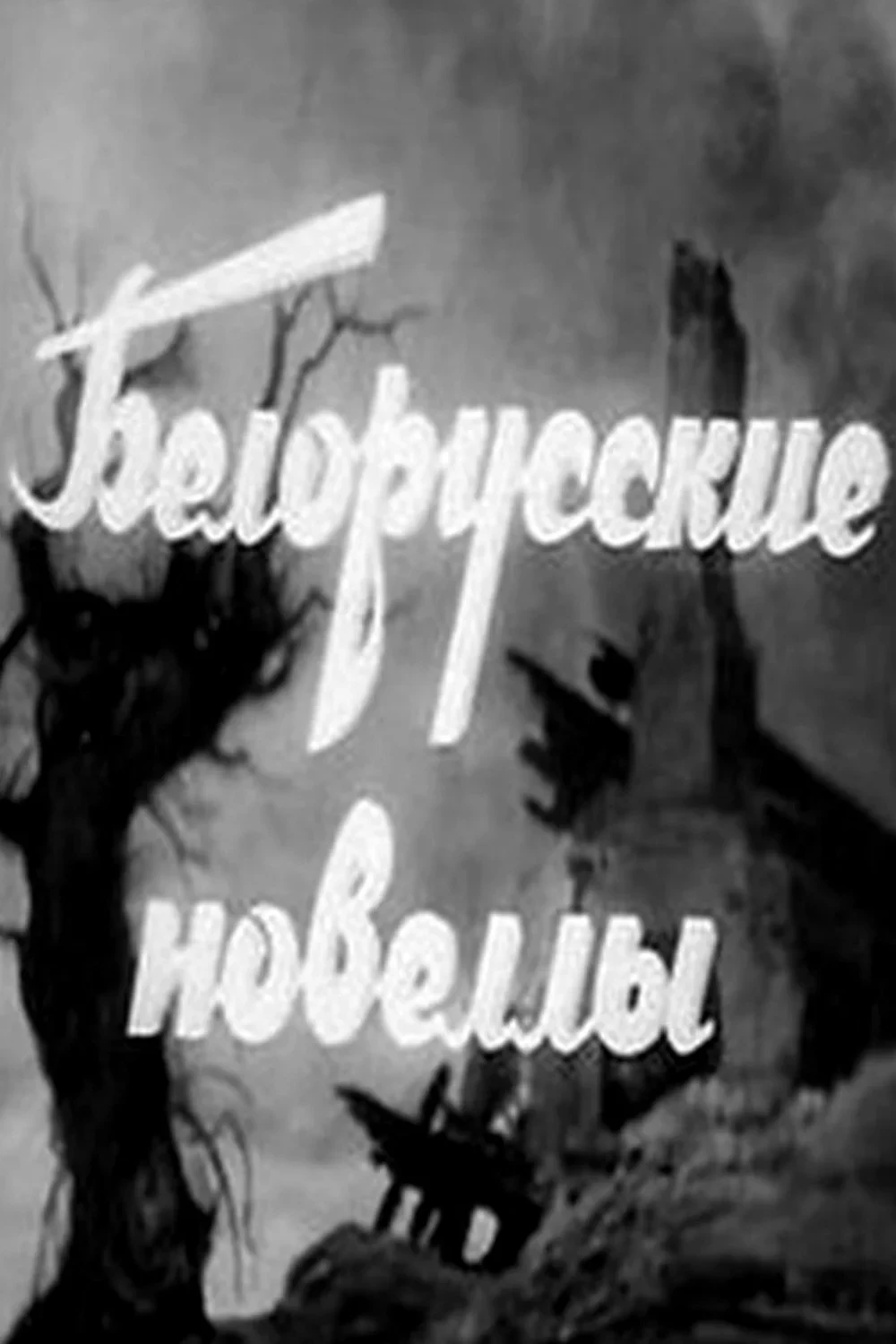 Постер фильма Белорусские новеллы