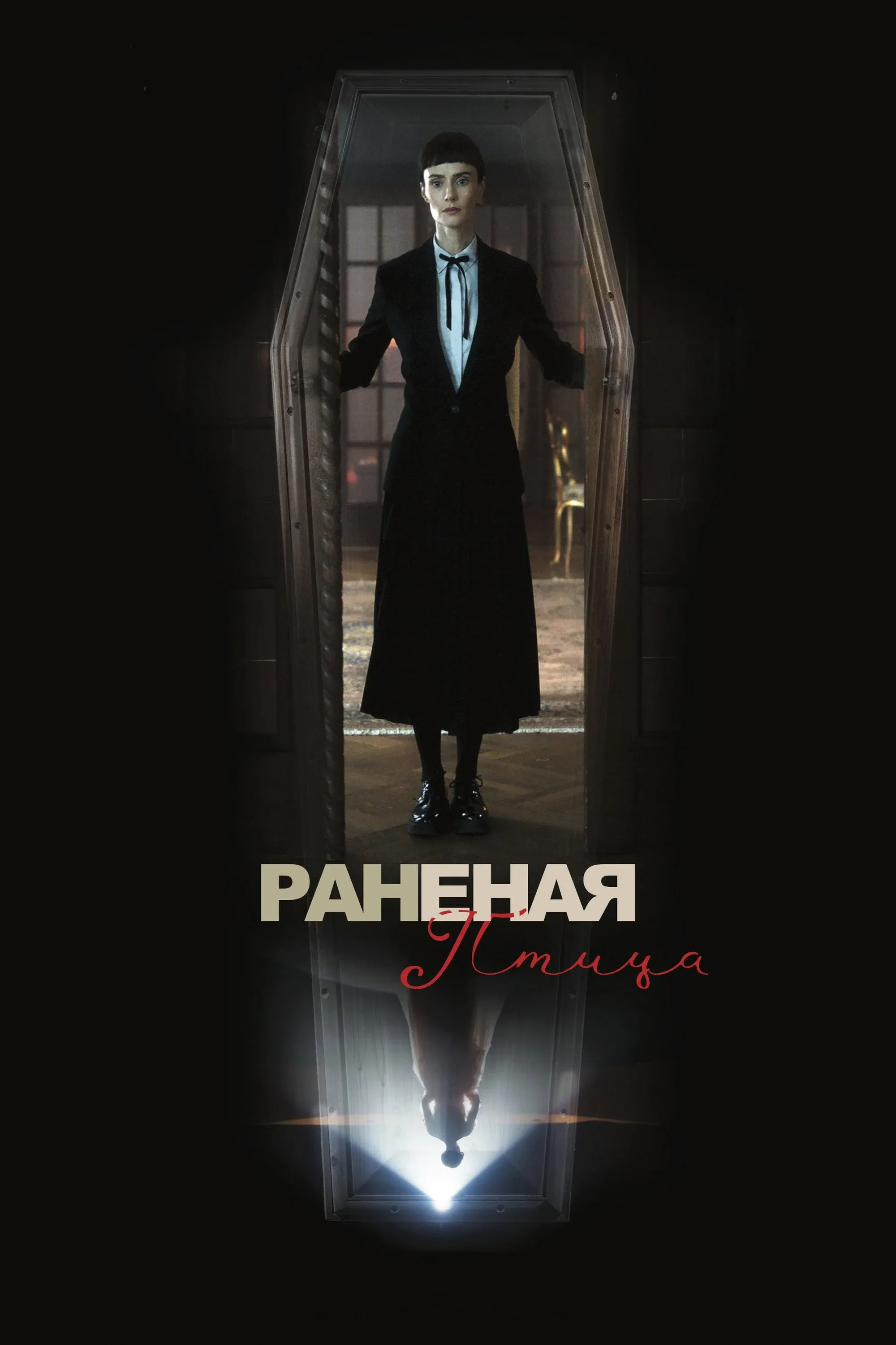 Постер фильма Сломанная птица