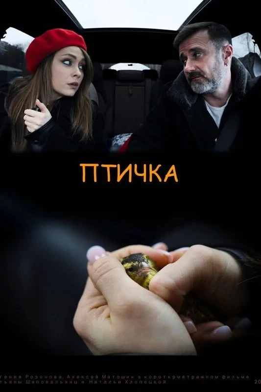 Постер фильма Птичка