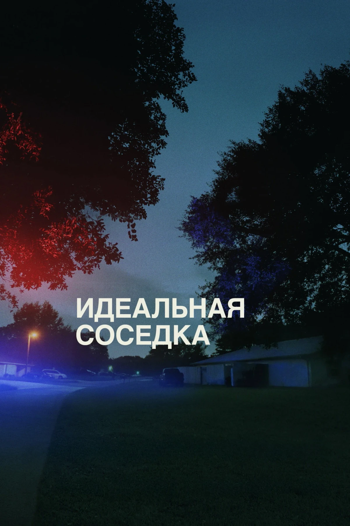 Постер фильма Идеальная соседка