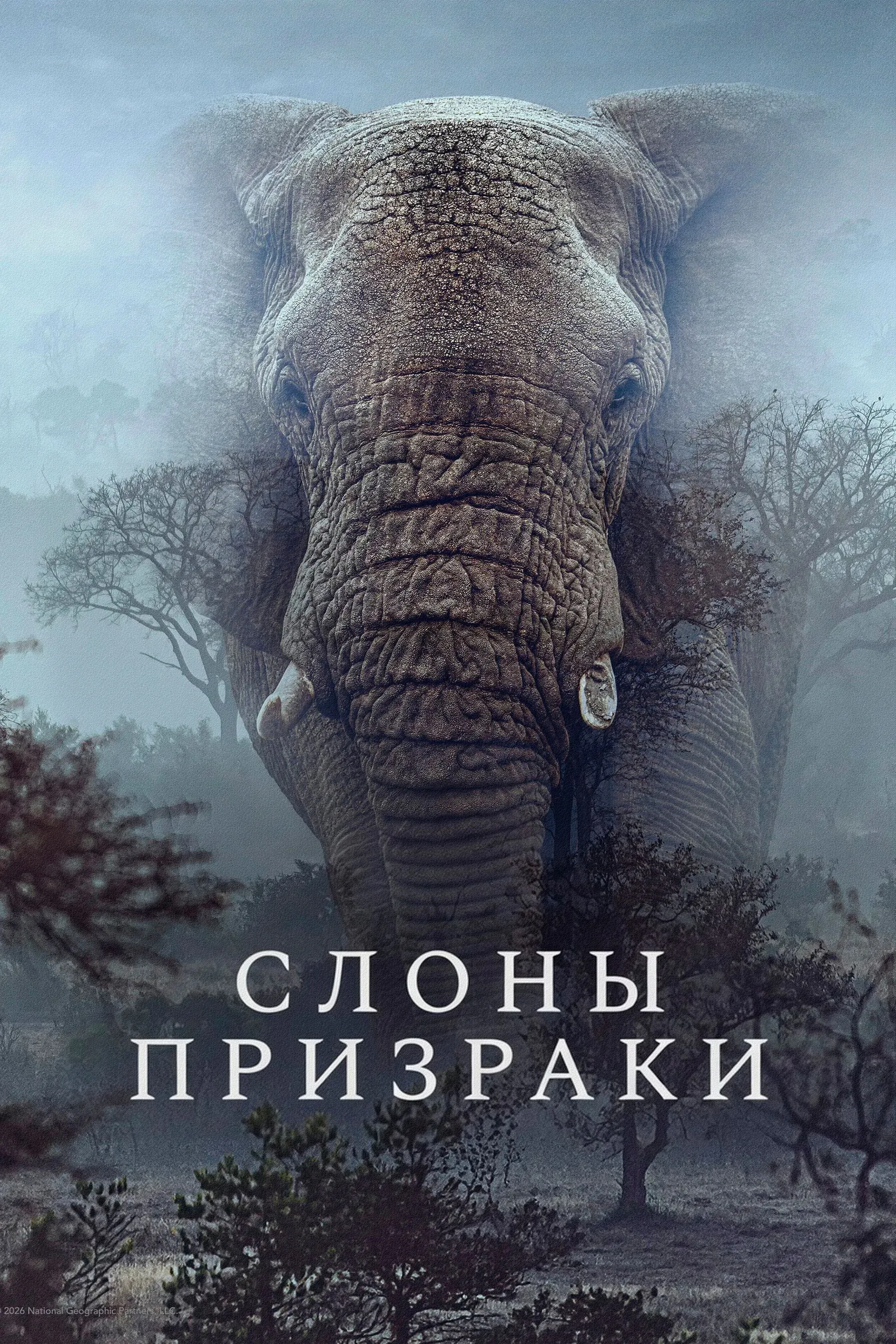 Постер фильма Слоны-призраки