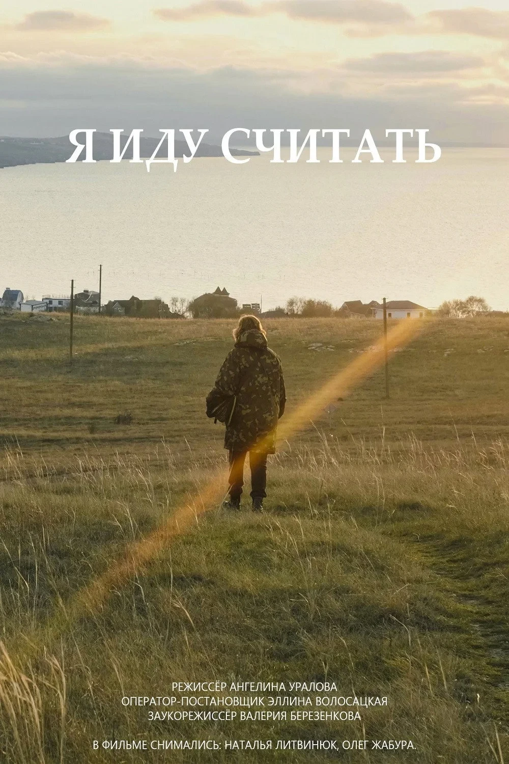 Постер фильма Я иду считать