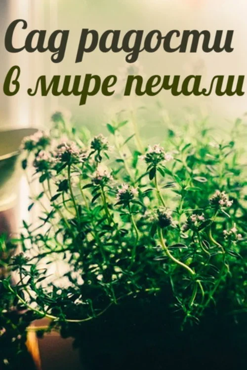 Постер фильма Сад радости в мире печали