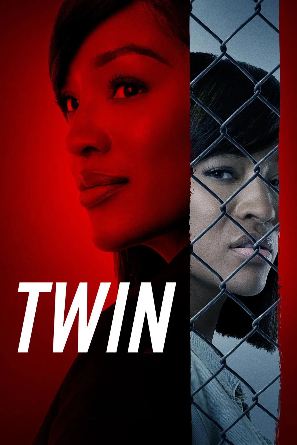 Постер фильма TWIN