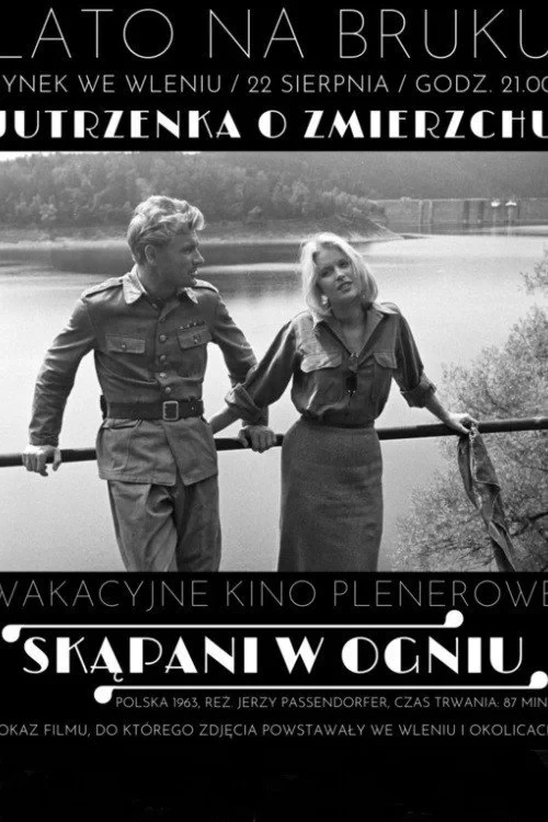 Постер фильма Крещённые огнём