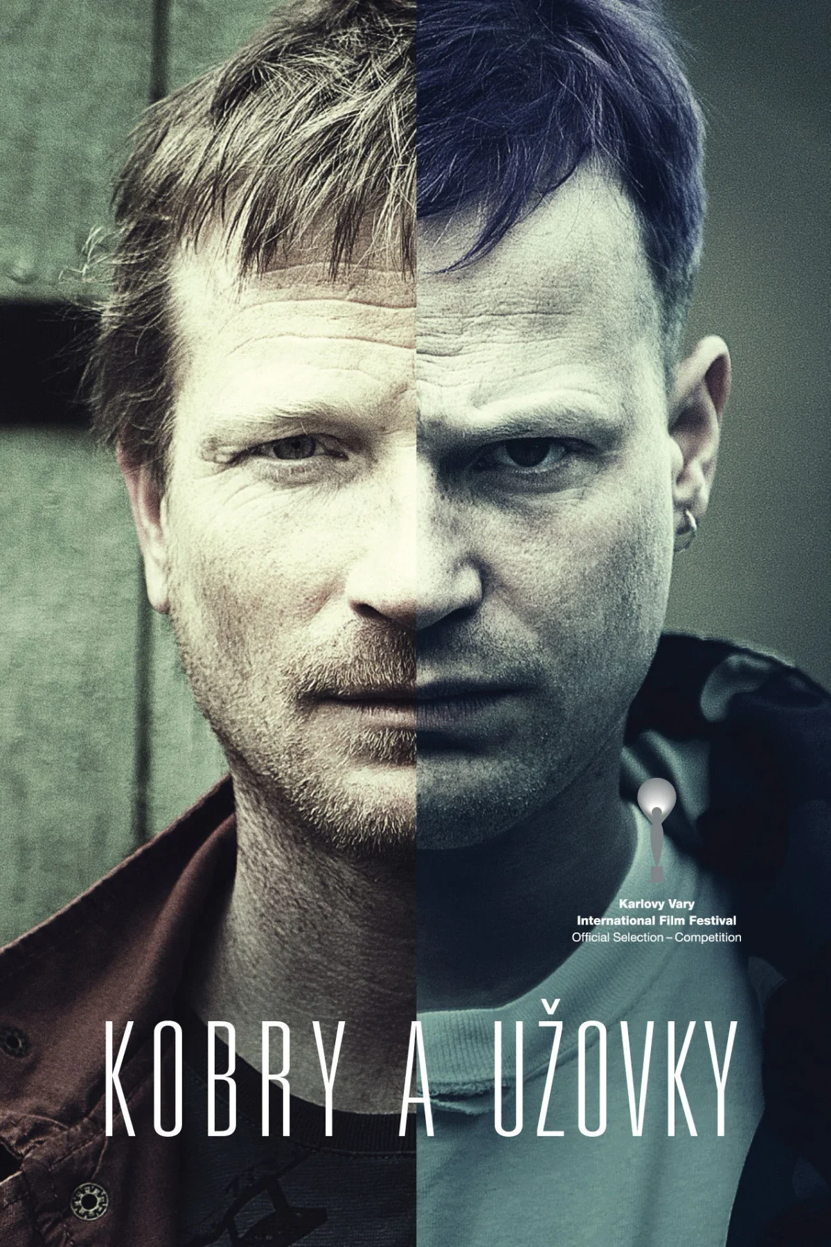 Постер фильма Кобры и ужи