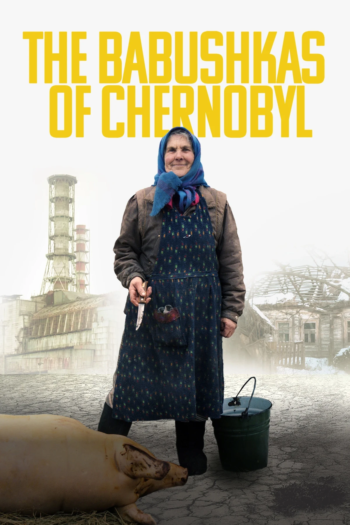 Постер фильма Чернобыльские бабушки