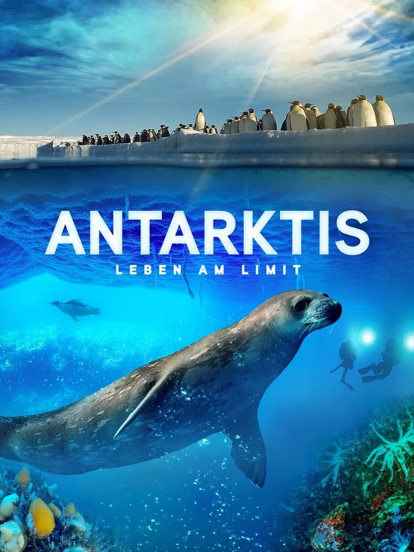 Постер фильма Антарктика. Живущие на грани