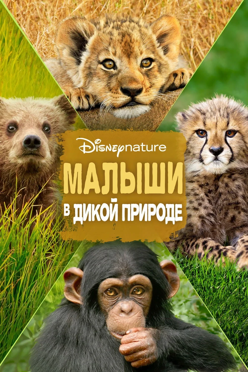 Постер фильма Малыши в дикой природе