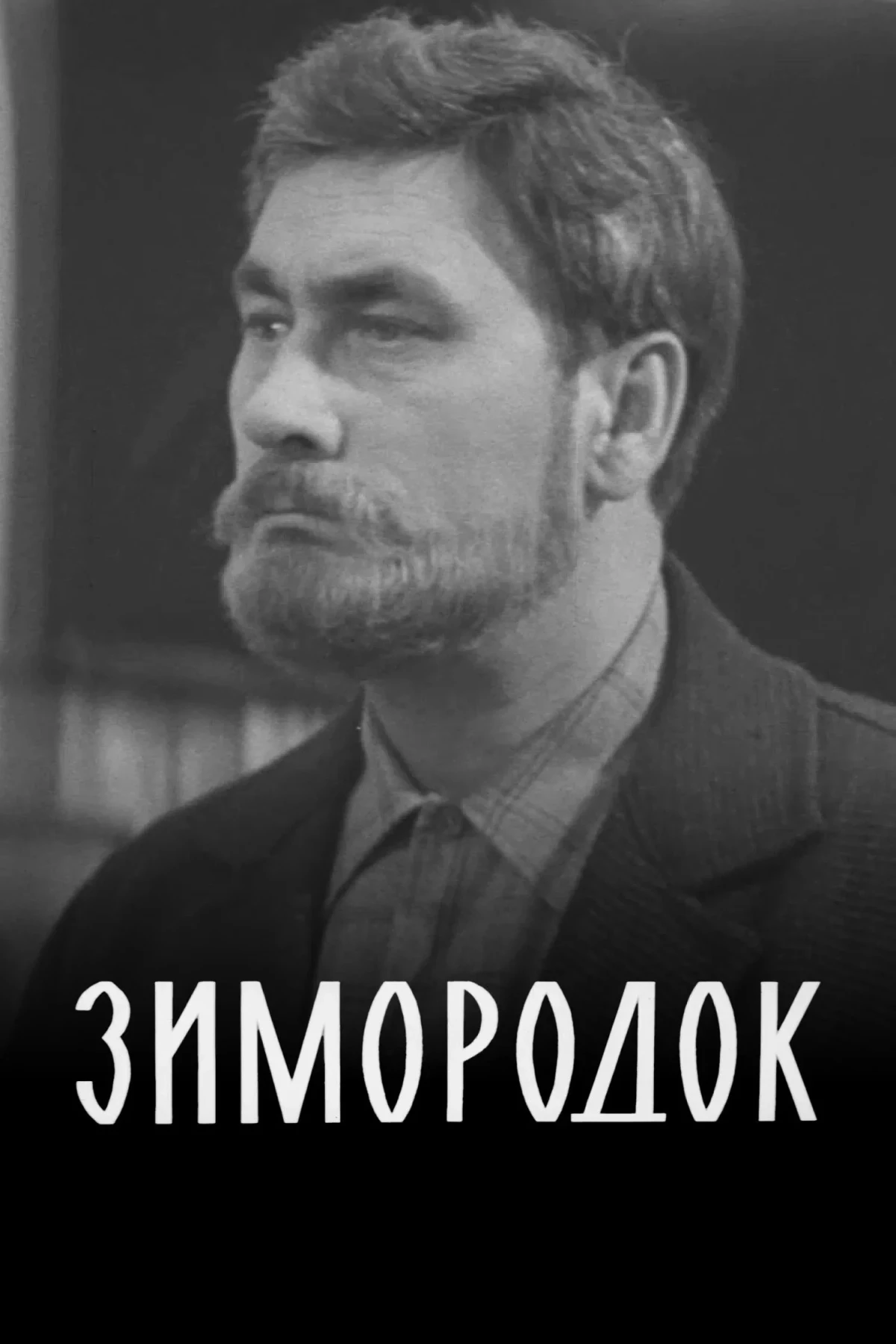 Постер фильма Зимородок