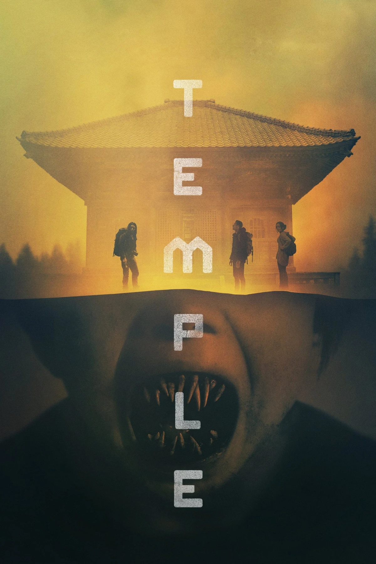 Постер фильма Храм