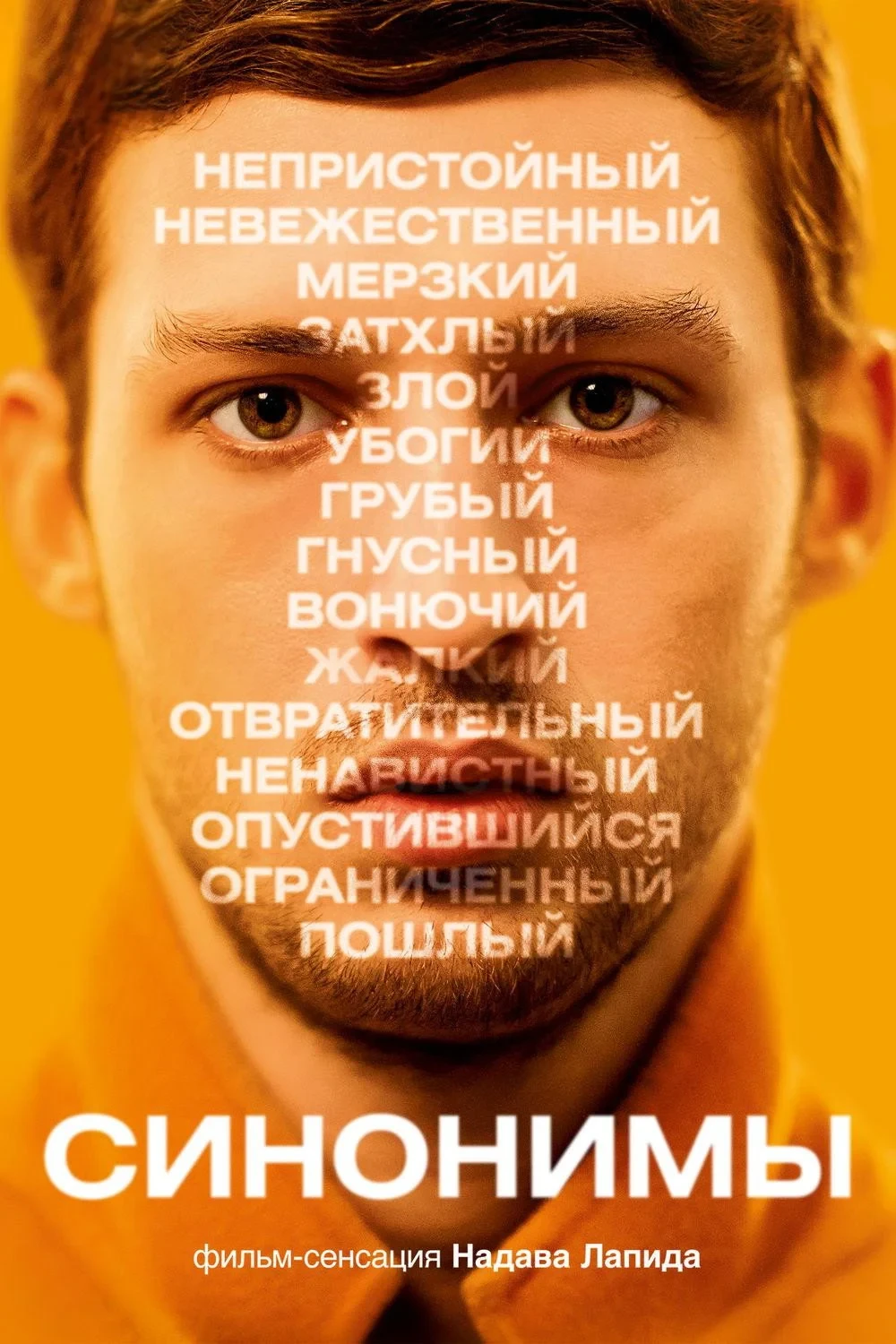 Постер фильма Синонимы