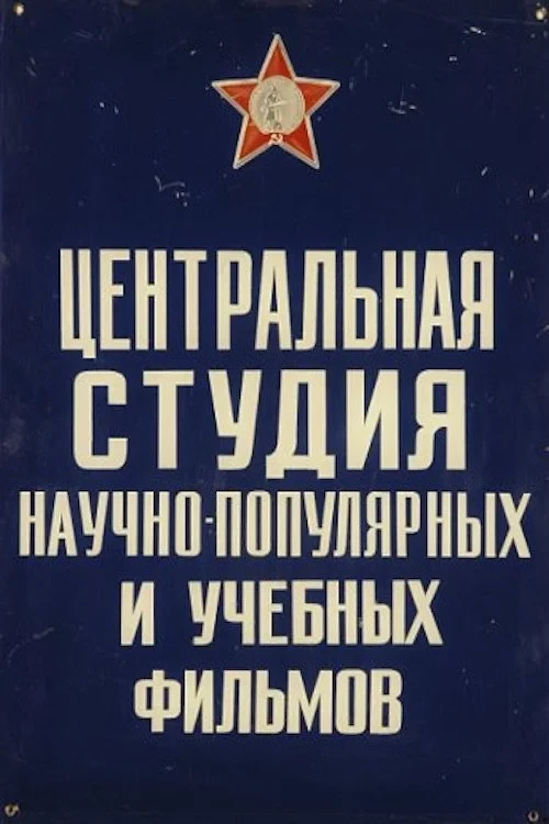 Постер фильма У магнита есть секреты