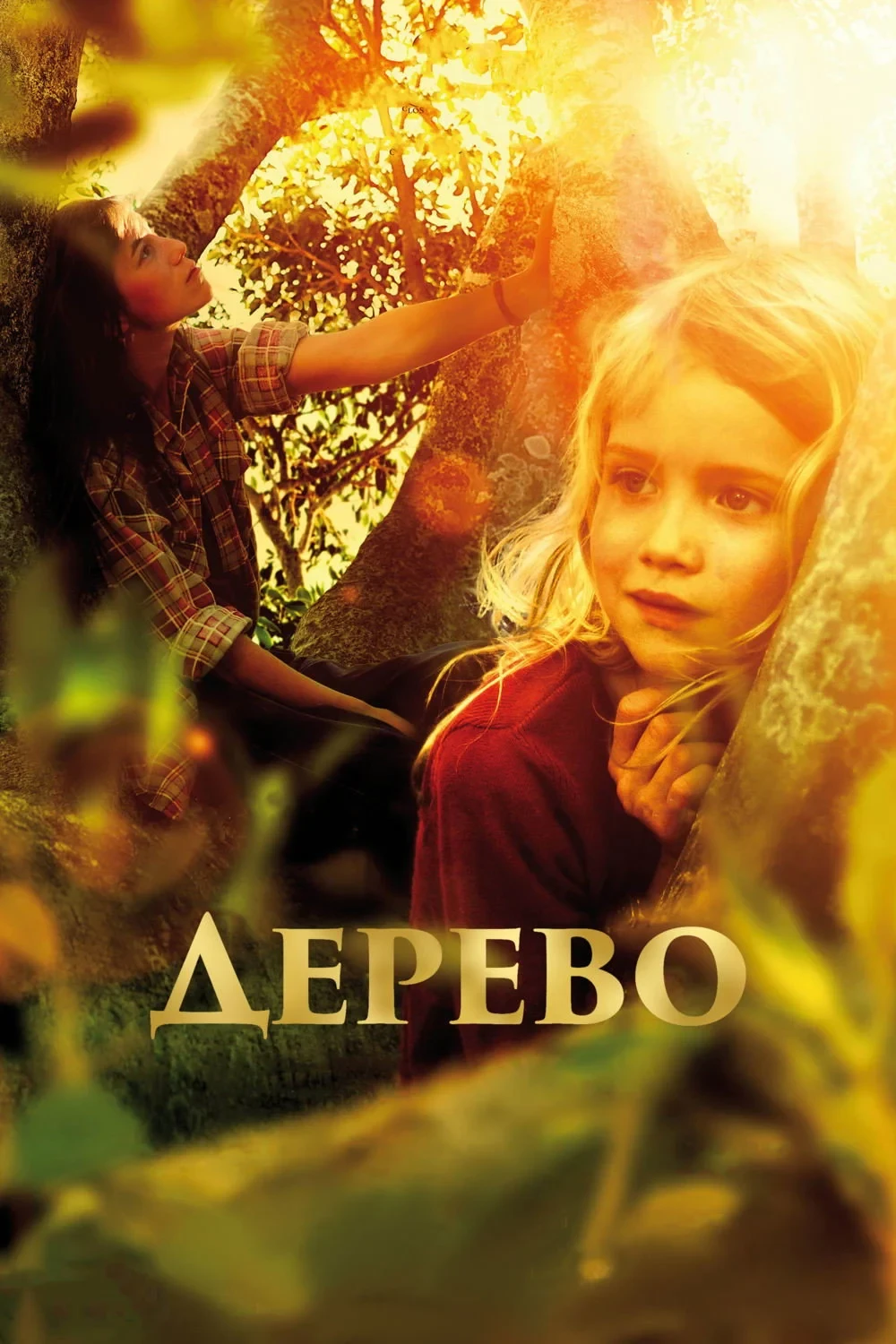 Постер фильма Дерево