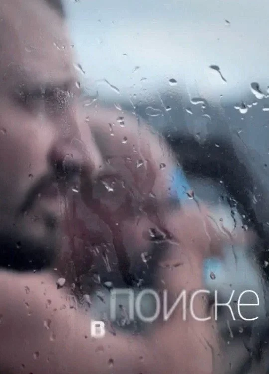 Постер фильма В поиске