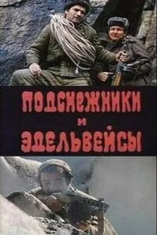 Постер фильма Подснежники и эдельвейсы