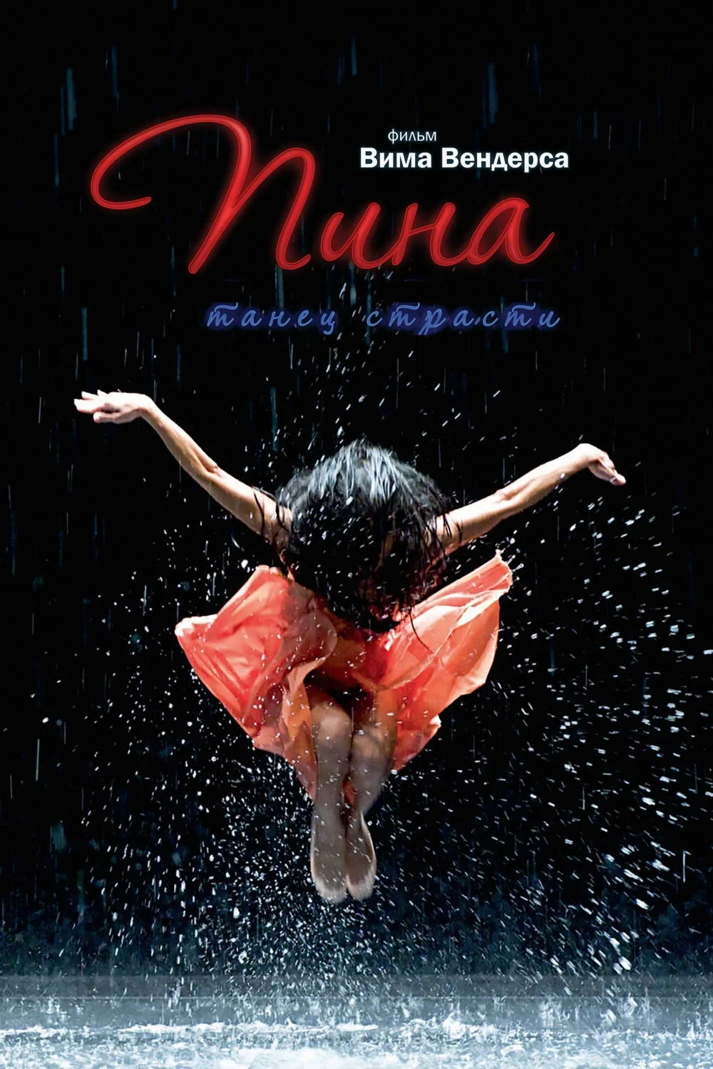 Постер фильма Пина: Танец страсти в 3D