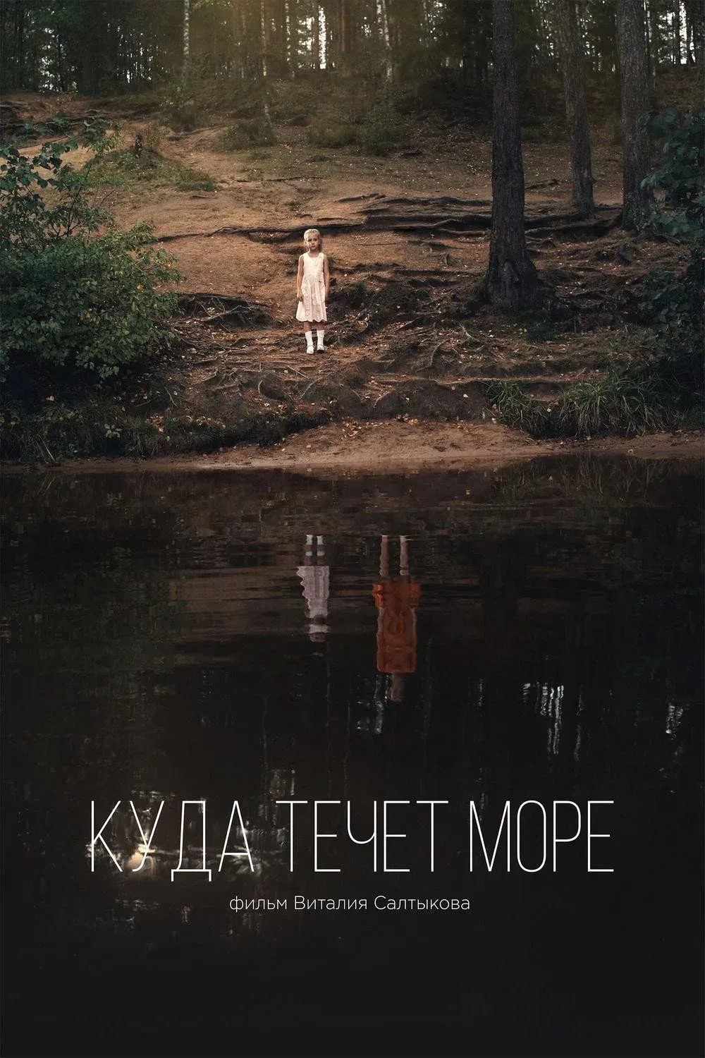 Постер фильма Куда течет море