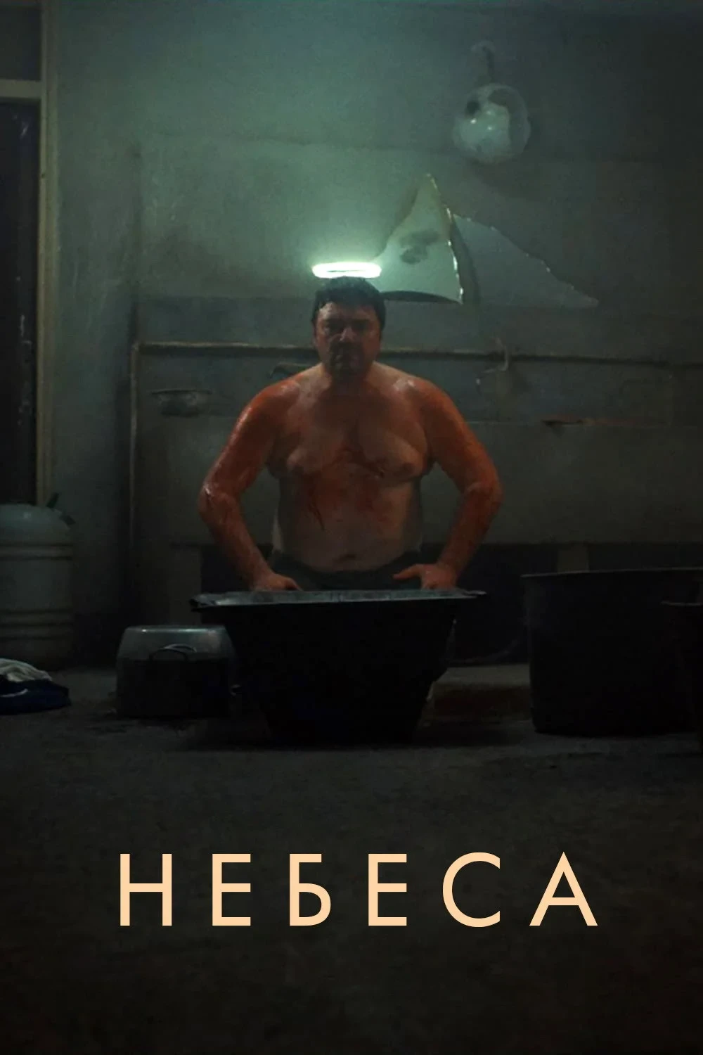 Постер фильма Небеса