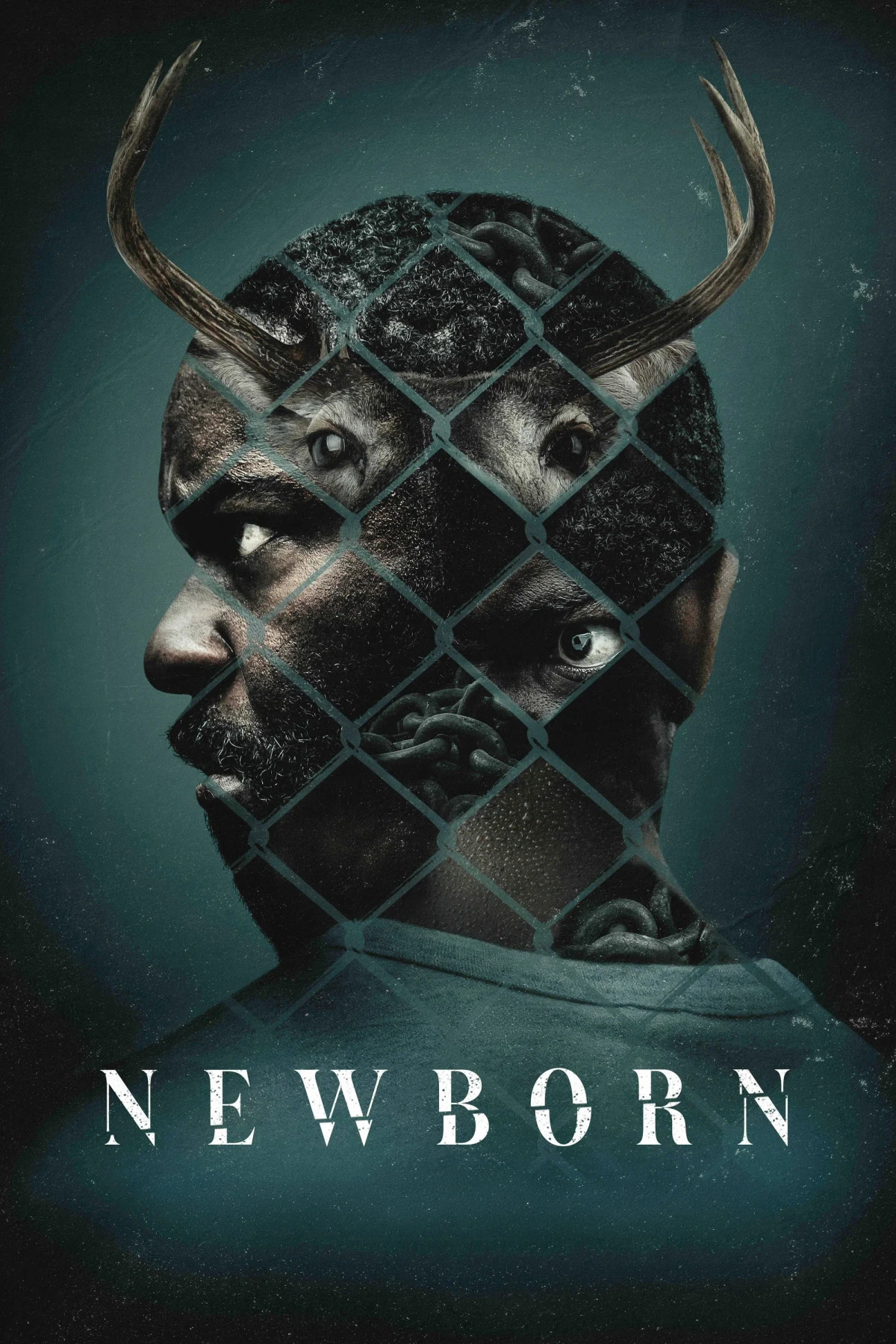 Постер фильма Newborn