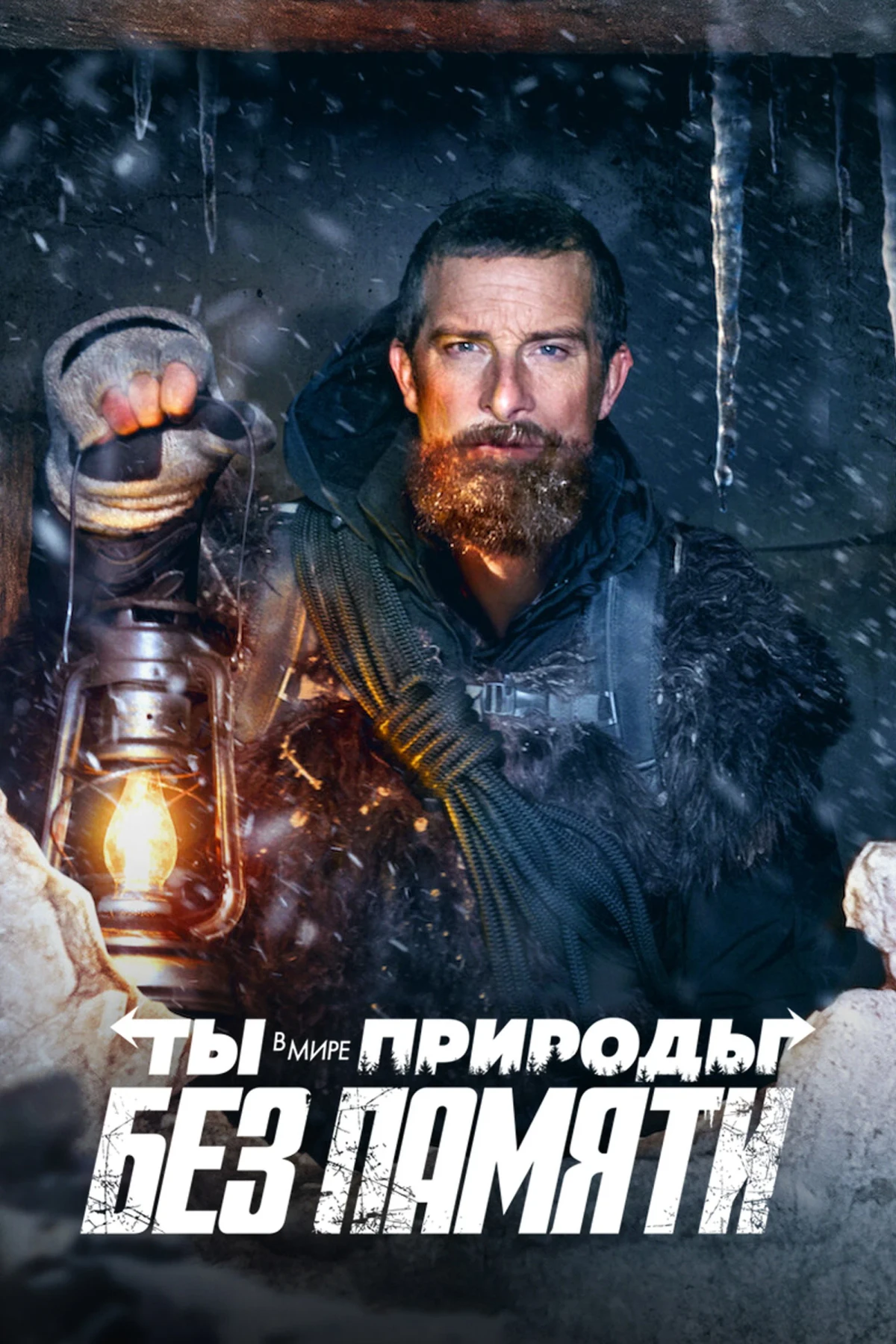 Постер фильма Ты в Мире Природы: Без Памяти
