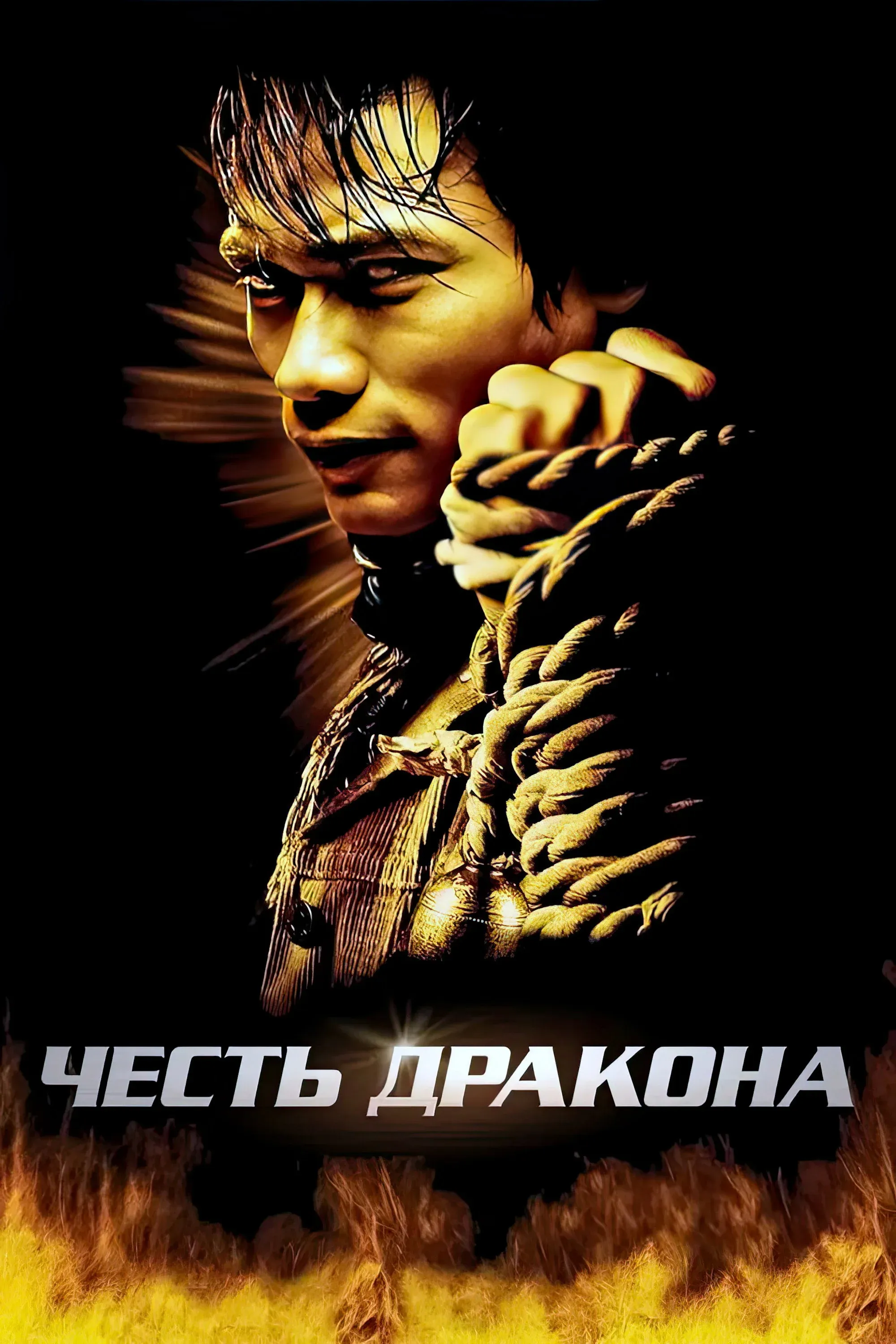 Постер фильма Честь дракона