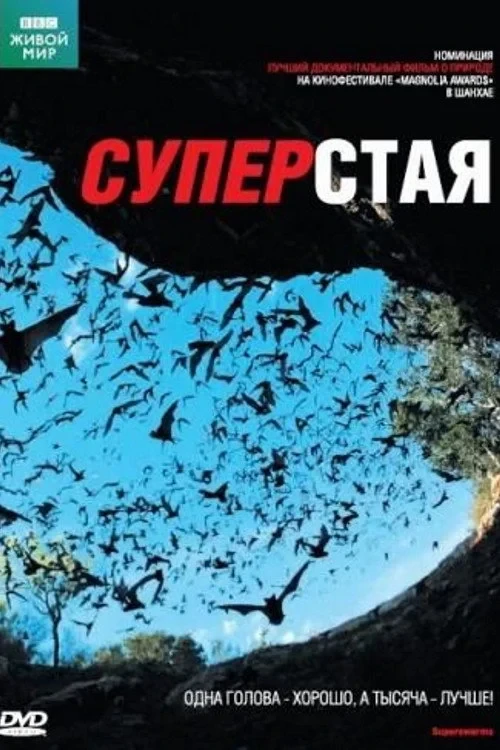 Постер сериалаСуперстая