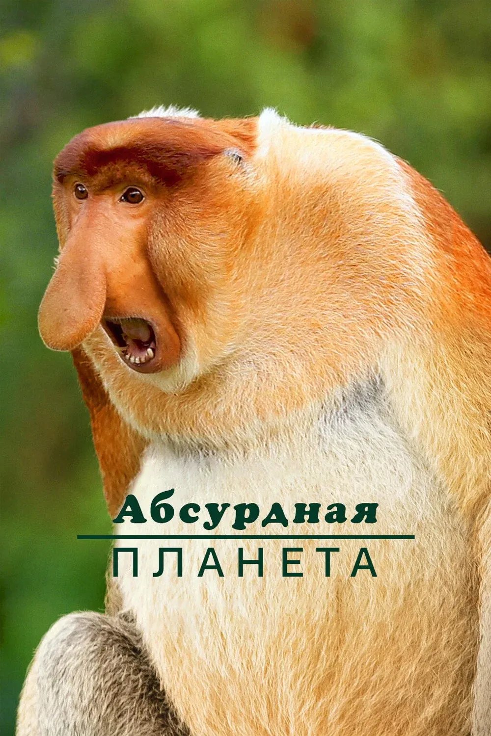 Постер фильма Абсурдная планета