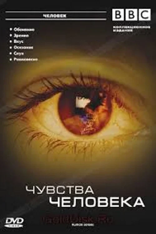 Постер сериалаЧувства человека