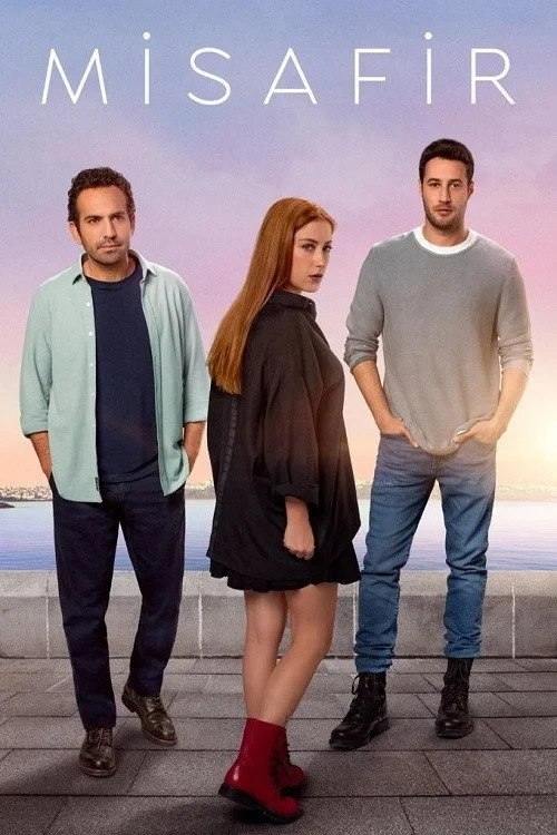 Постер сериалаГость