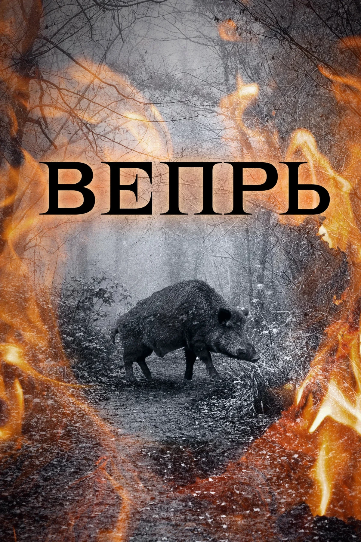 Постер сериалаВепрь