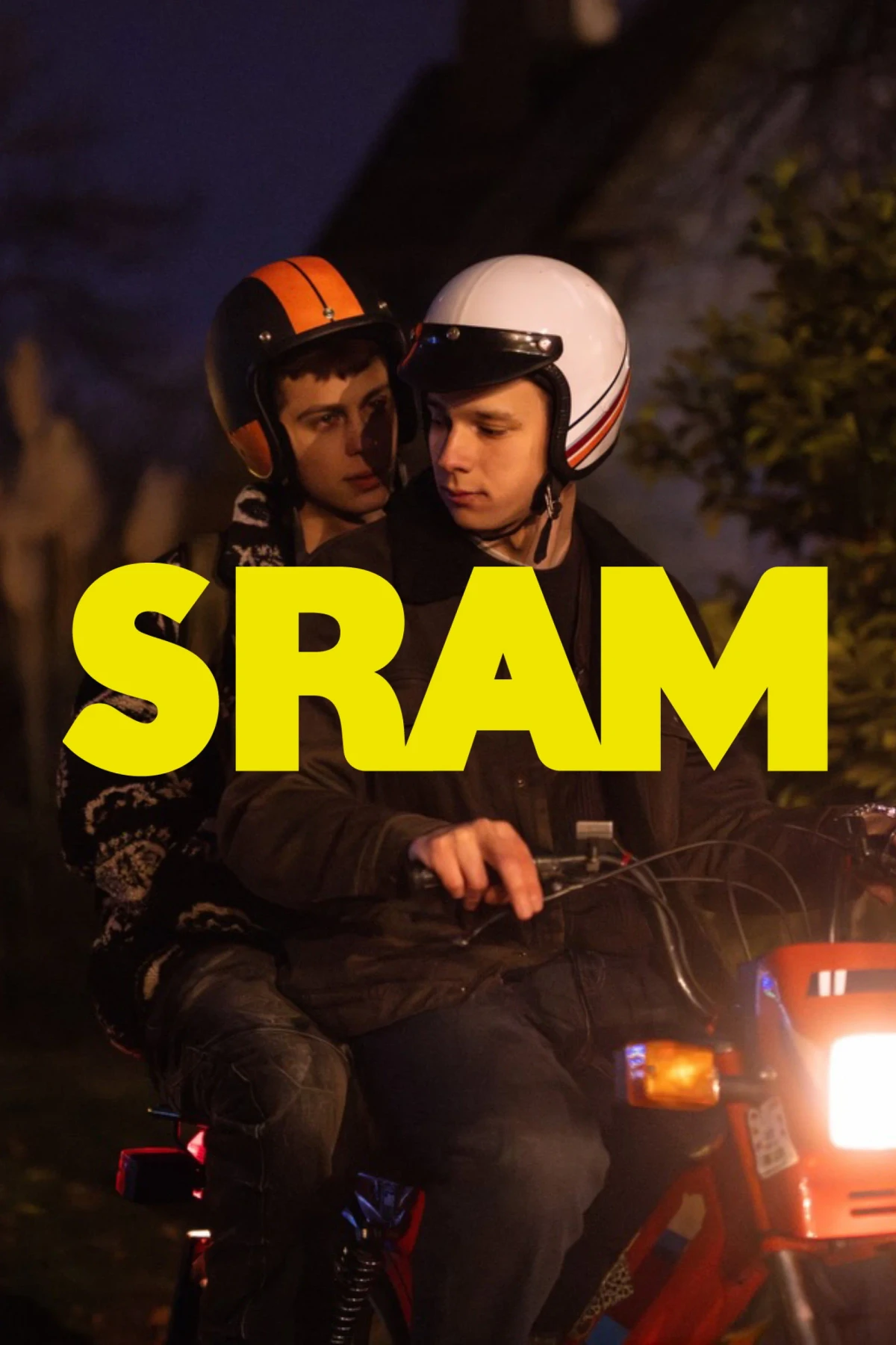 Постер сериалаСтыд. Хорватия