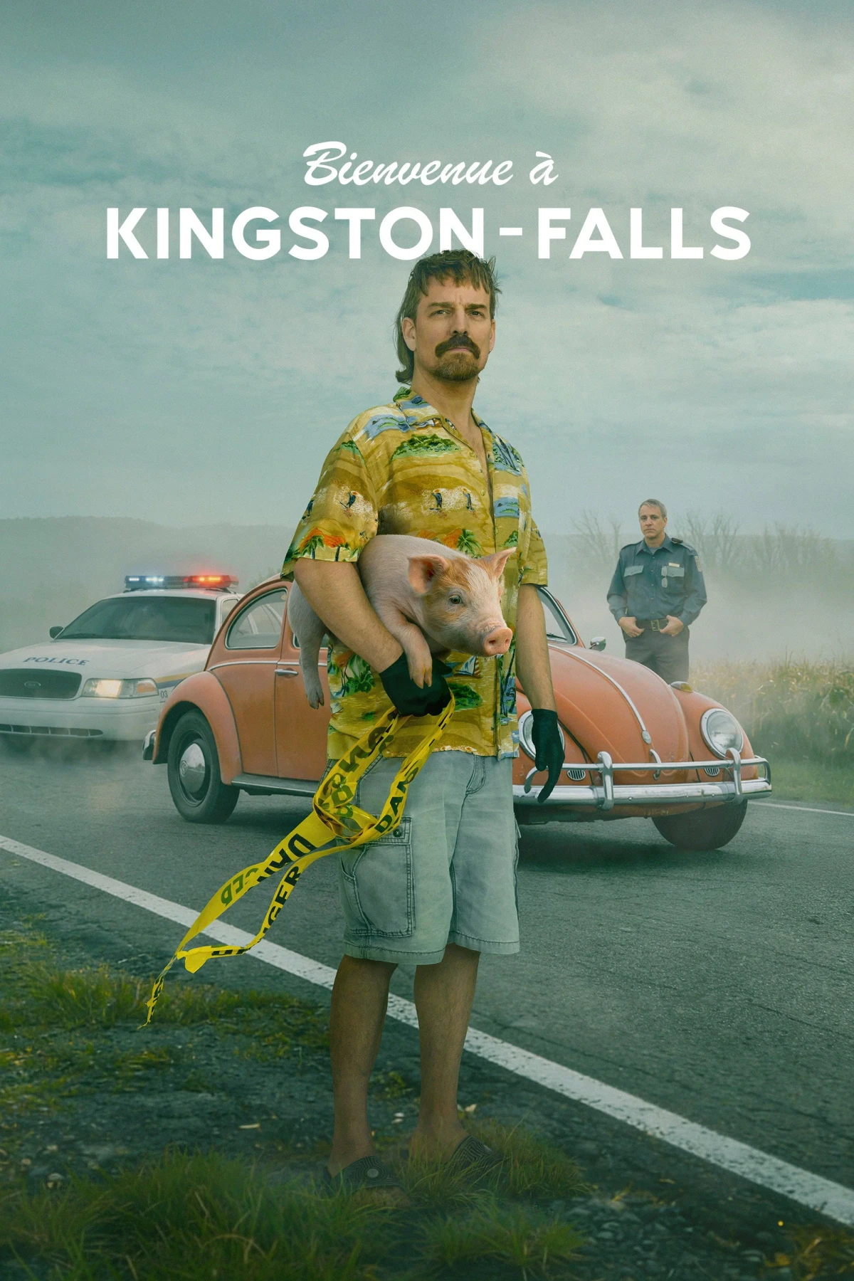 Постер сериалаДобро пожаловать в Кингстон-Фолс