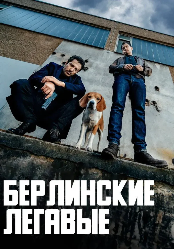 Постер фильма Берлинские легавые