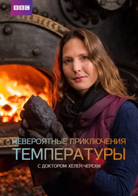 Постер сериалаНевероятные приключения температуры