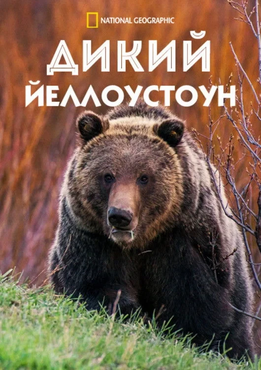 Постер сериалаДикий Йеллоустоун